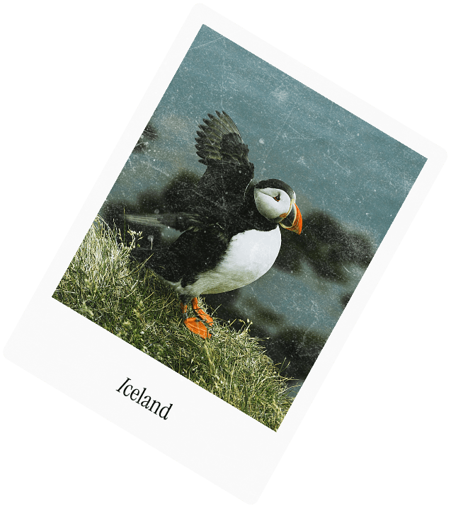 A polaroid captioned Iceland